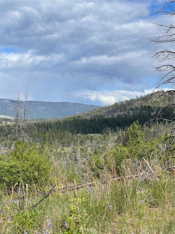 0 960X Knox Road, Riverside, WA 98849