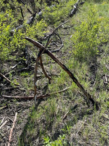 0 960X Knox Road, Riverside, WA 98849