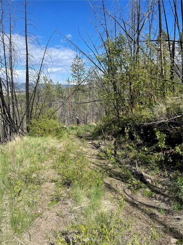 0 960X Knox Road, Riverside, WA 98849