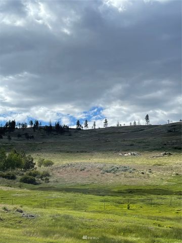 0 960X Knox Road, Riverside, WA 98849