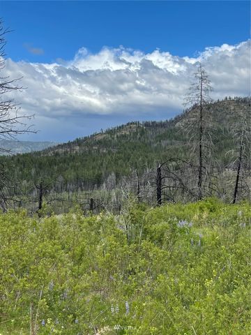 0 960X Knox Road, Riverside, WA 98849