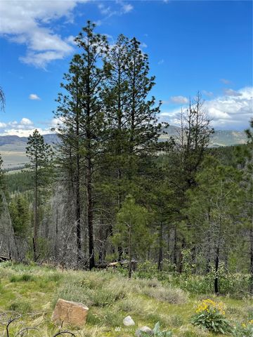 0 960X Knox Road, Riverside, WA 98849