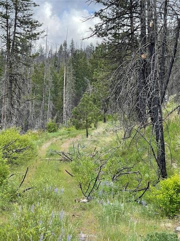 0 960X Knox Road, Riverside, WA 98849