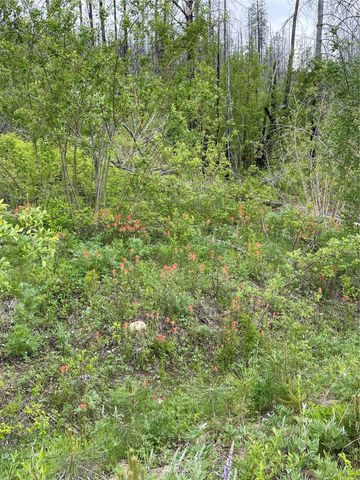 0 960X Knox Road, Riverside, WA 98849