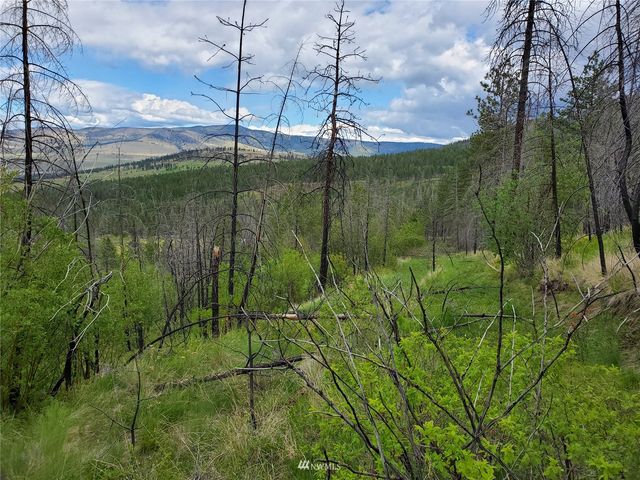 0 960X Knox Road, Riverside, WA 98849