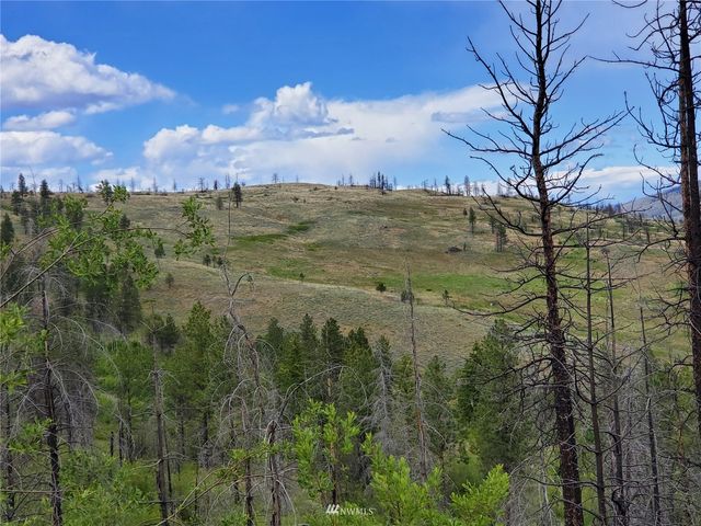 0 960X Knox Road, Riverside, WA 98849