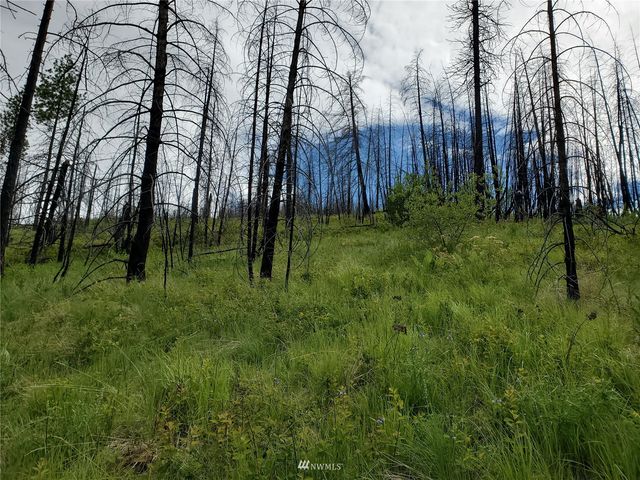 0 960X Knox Road, Riverside, WA 98849