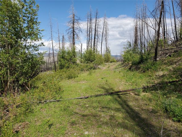 0 960X Knox Road, Riverside, WA 98849