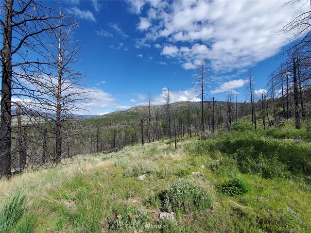 0 960X Knox Road, Riverside, WA 98849