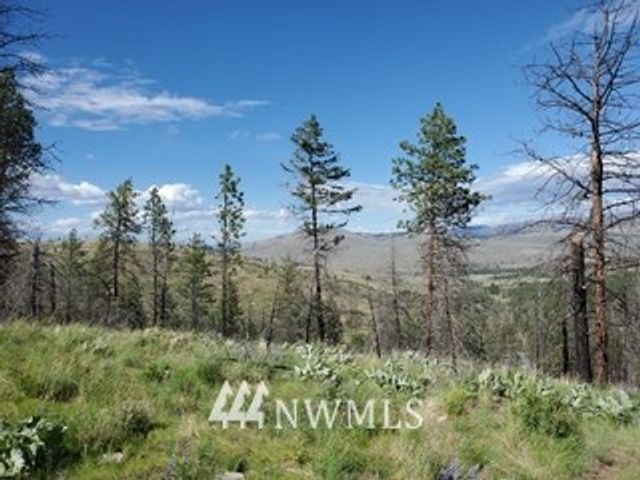 0 960X Knox Road, Riverside, WA 98849