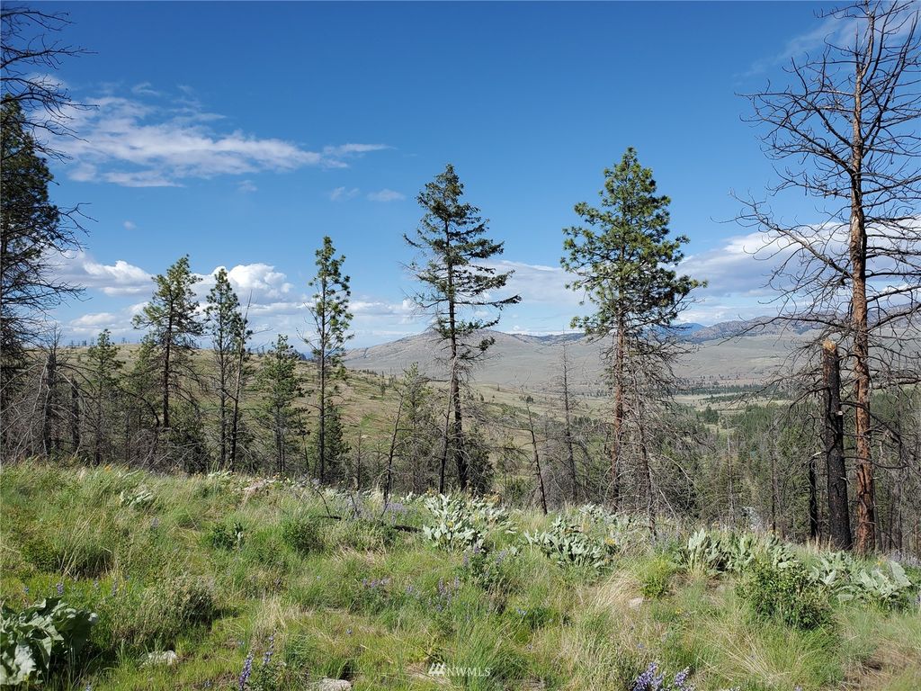 0 960X Knox Road, Riverside, WA 98849