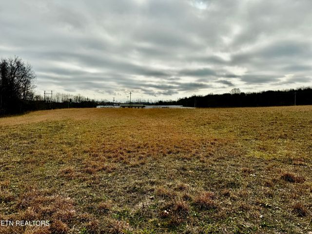 375 S White Pine Rd, White Pine, TN 37890