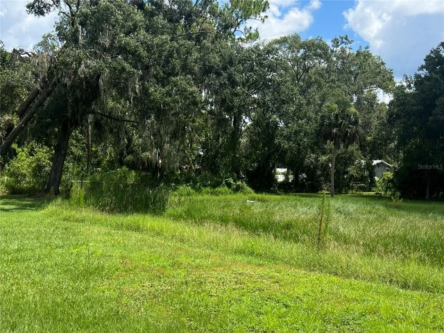 2903 WILLIAMS BOULEVARD, Valrico, FL 33596