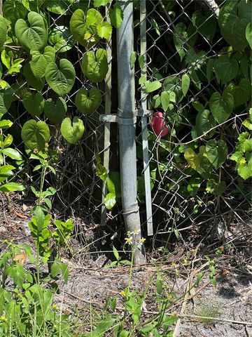 2903 WILLIAMS BOULEVARD, Valrico, FL 33596