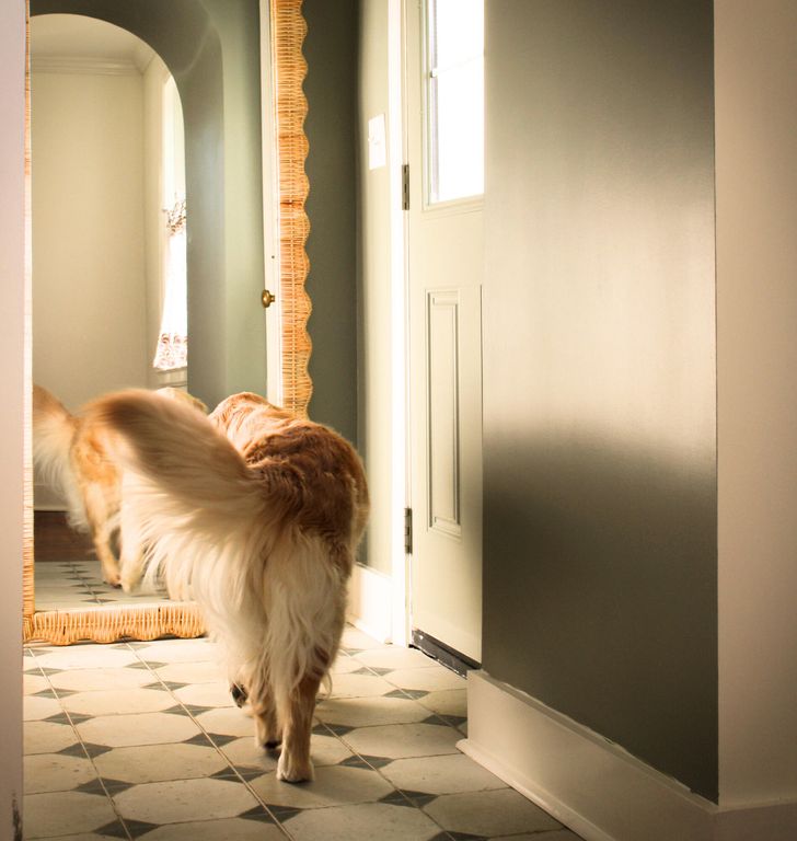 Image 27 of property listing at 1 Colleton Drive, Charleston, SC 29407