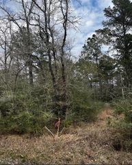 357 Pinnacle, Trinity, TX 75862