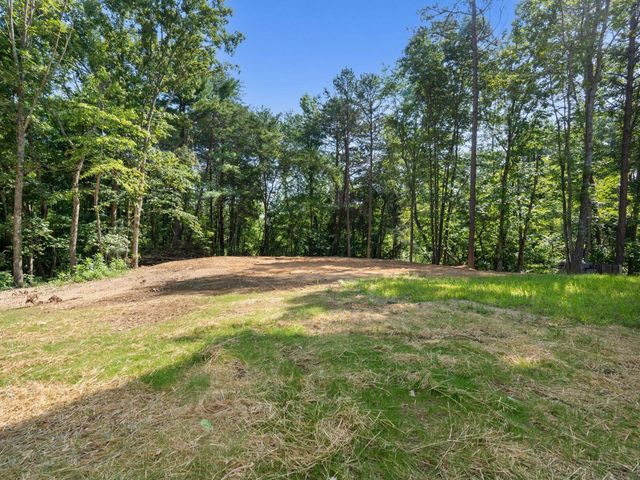16450 May Road, Sale Creek, TN 37373