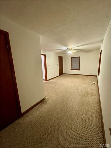 10111 State Highway A, Bragg City, MO 63827