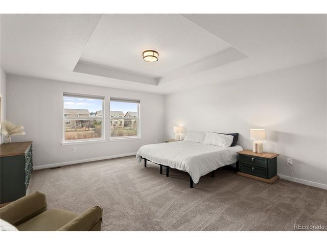 17529 Lucky Penny Ln, Monument, CO 80132