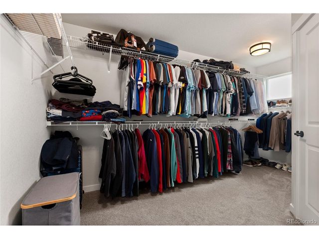 17529 Lucky Penny Ln, Monument, CO 80132