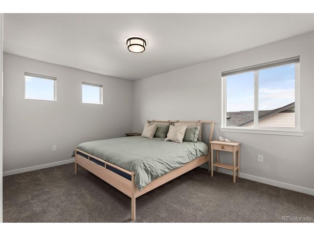17529 Lucky Penny Ln, Monument, CO 80132