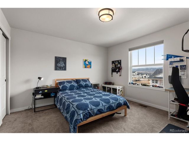 17529 Lucky Penny Ln, Monument, CO 80132