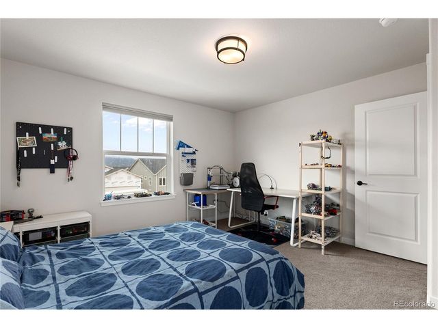 17529 Lucky Penny Ln, Monument, CO 80132