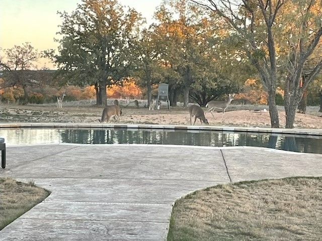 6710 Fm 89, Tuscola, TX 79562