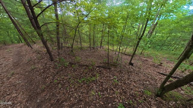 0 Shady Oaks Way, Sevierville, TN 37876