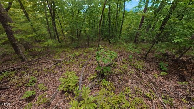 0 Shady Oaks Way, Sevierville, TN 37876