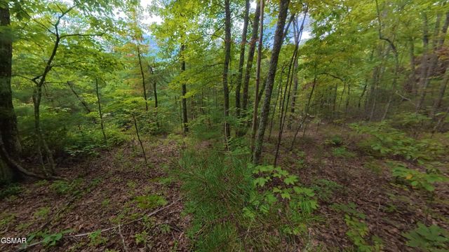 0 Shady Oaks Way, Sevierville, TN 37876