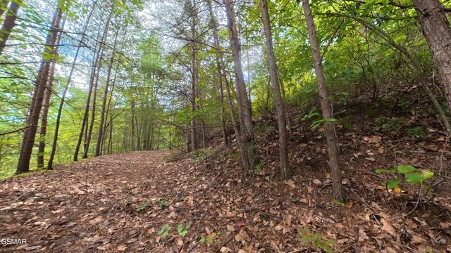 0 Shady Oaks Way, Sevierville, TN 37876