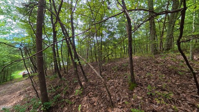 0 Shady Oaks Way, Sevierville, TN 37876