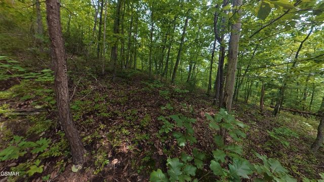 0 Shady Oaks Way, Sevierville, TN 37876