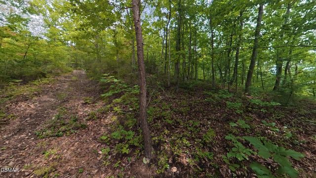 0 Shady Oaks Way, Sevierville, TN 37876