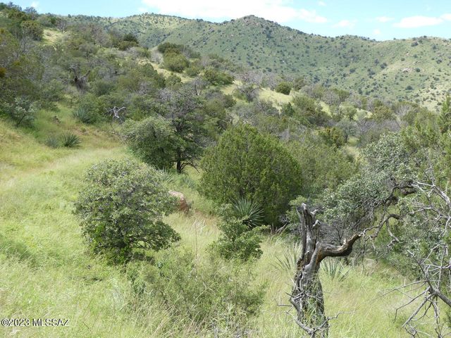 70 ac S Turkey Creek Road # 1, San Simon, AZ 85632