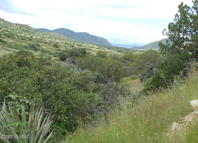 70 ac S Turkey Creek Road # 1, San Simon, AZ 85632