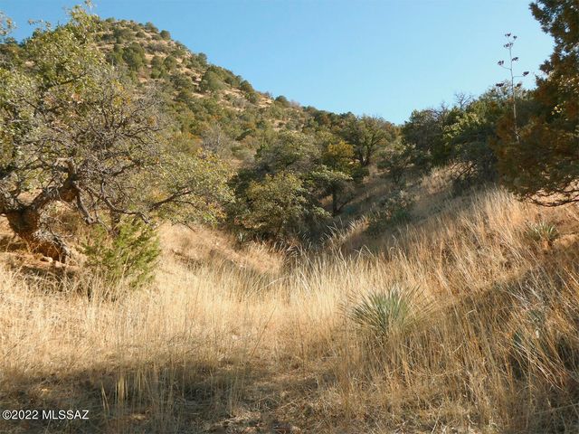 70 ac S Turkey Creek Road # 1, San Simon, AZ 85632