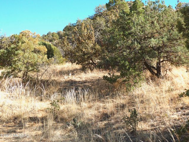70 ac S Turkey Creek Road # 1, San Simon, AZ 85632