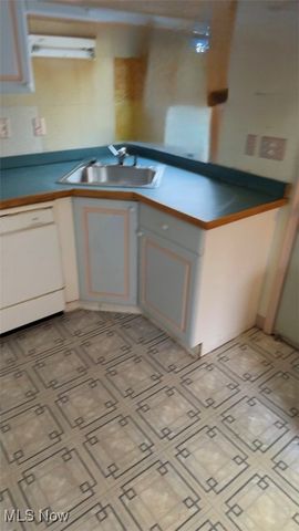 828 E 216th Street, Euclid, OH 44119