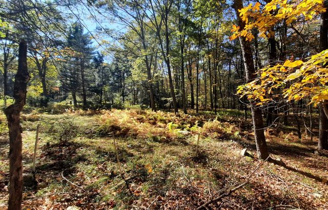 140 Ragged Hill Road, Pomfret, CT 06259