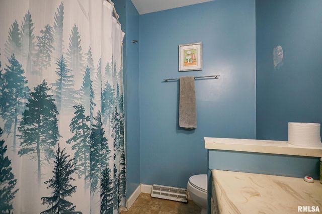 10109 ARROW Road, Tremont, IL 61568