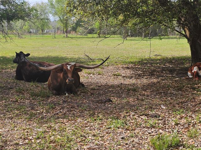 6814 Avenue O, Santa Fe, TX 77510