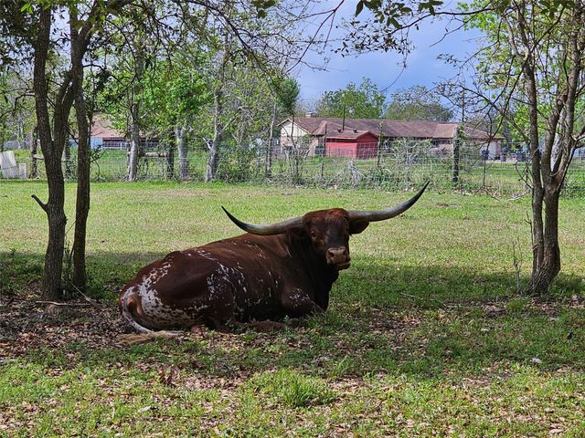 6814 Avenue O, Santa Fe, TX 77510