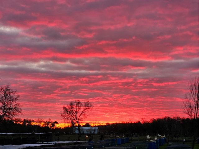 6814 Avenue O, Santa Fe, TX 77510