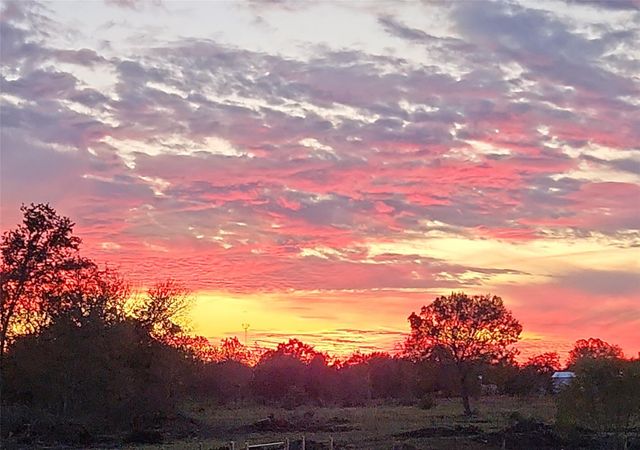 6814 Avenue O, Santa Fe, TX 77510