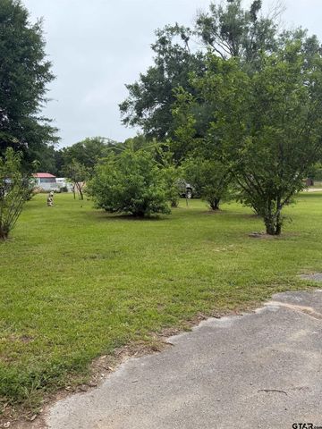 TBD Cutter Drive, Frankston, TX 75763