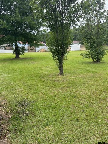 TBD Cutter Drive, Frankston, TX 75763