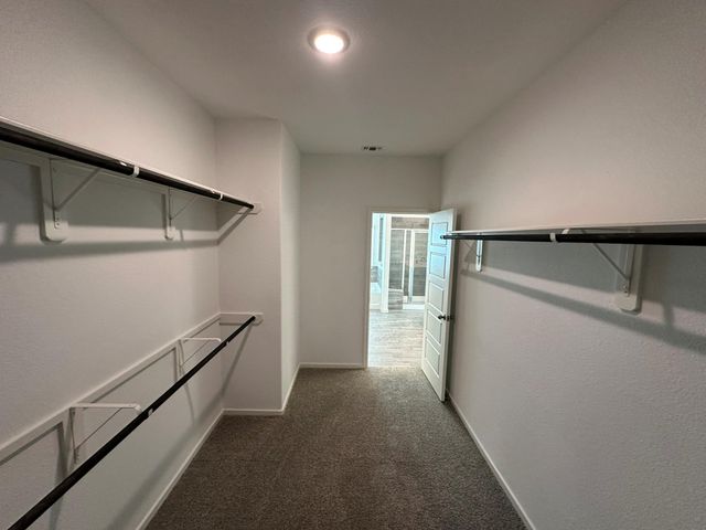 1048 Apple Ridge Road, Magnolia, TX 77355