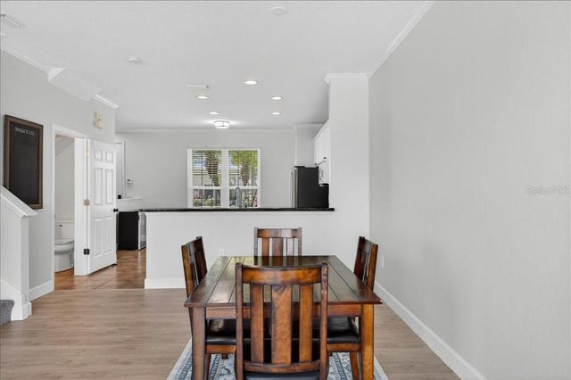 11607 COLONY LAKE DRIVE, Tampa, FL 33635